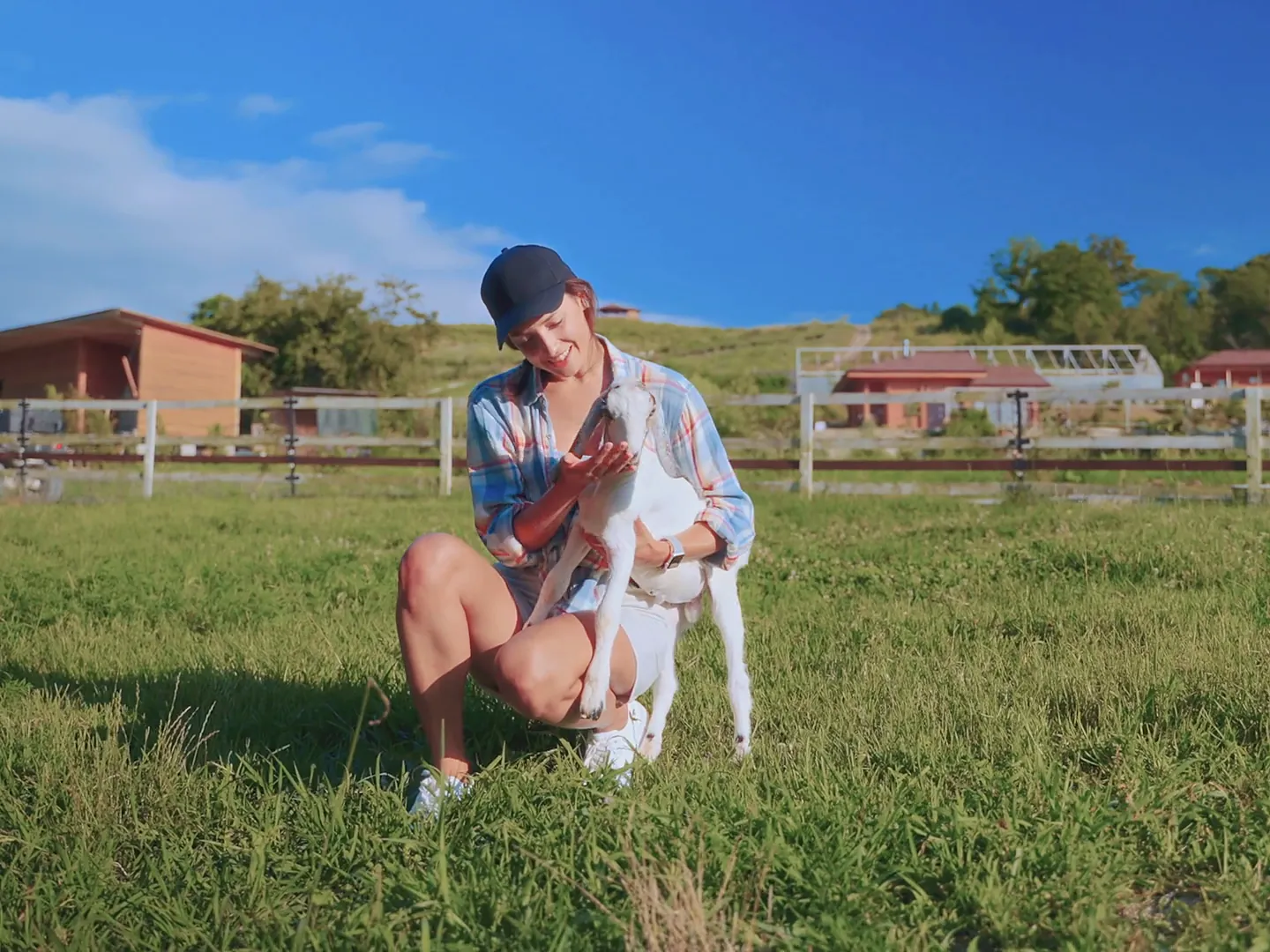 A woman kneeling in a sunny pasture, holding a young white goat