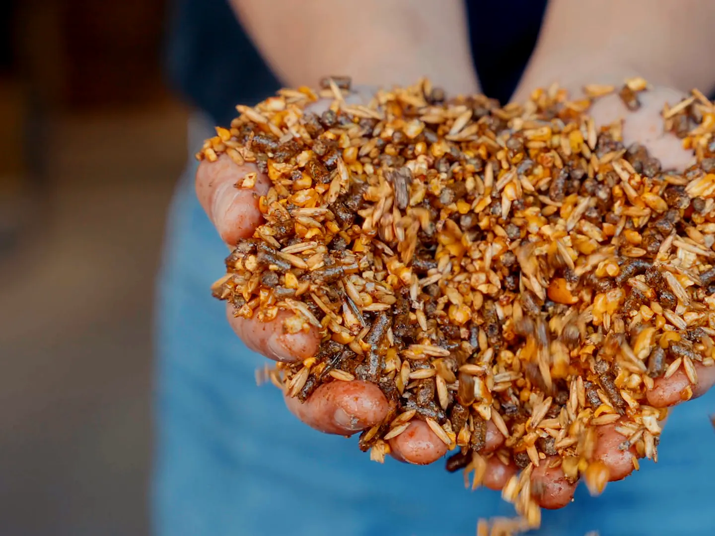 Hands holding freshly made textured feed